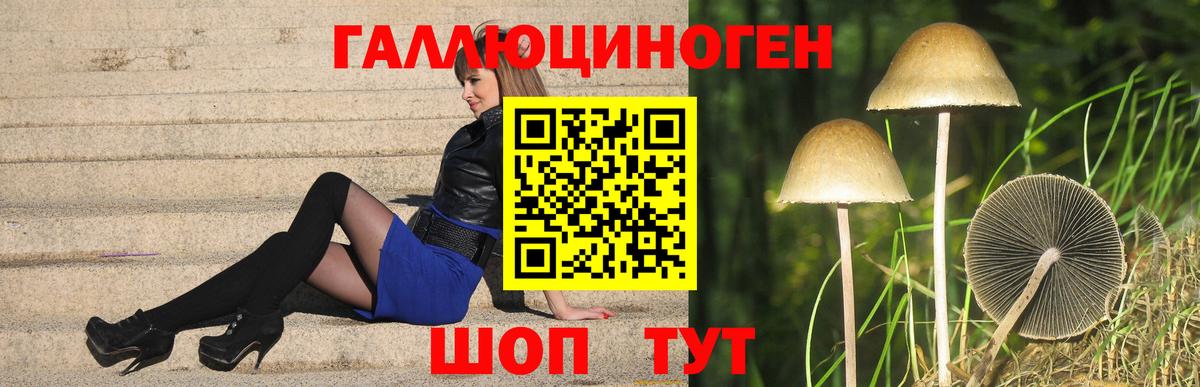 Галлюциногенные грибы прущие грибы Лысьва